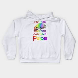 Why Hide When You Can Have Pride Kids Hoodie